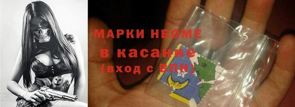 крисы Мегион