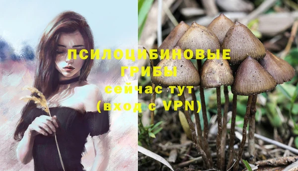герыч Медногорск