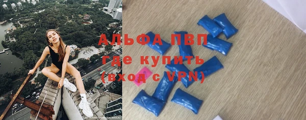 крисы Мегион