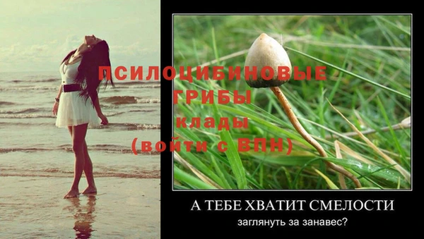 герыч Медногорск