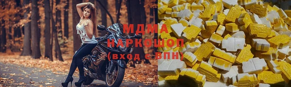 индика Богородицк