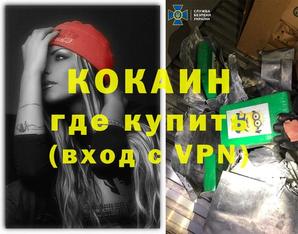 крисы Мегион