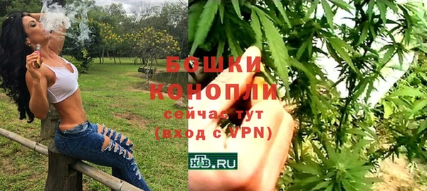 крисы Мегион