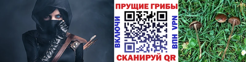 цена   Батайск  Псилоцибиновые грибы прущие грибы 