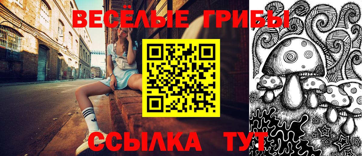 Псилоцибиновые грибы прущие грибы  Галлюциногенные грибы GOLDEN TEACHER  магазин    Батайск 