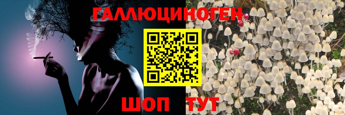 Псилоцибиновые грибы Magic Shrooms  Псилоцибиновые грибы Psilocybe  Вход с VPN  Батайск 